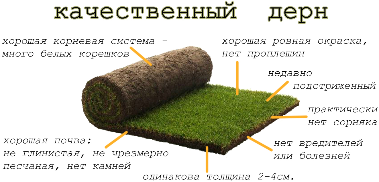 Обслуговування ділянки. Фото